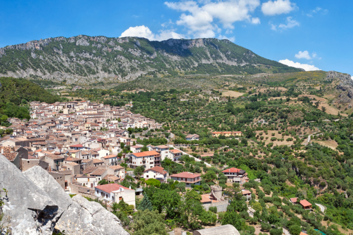 Cifti-Civita