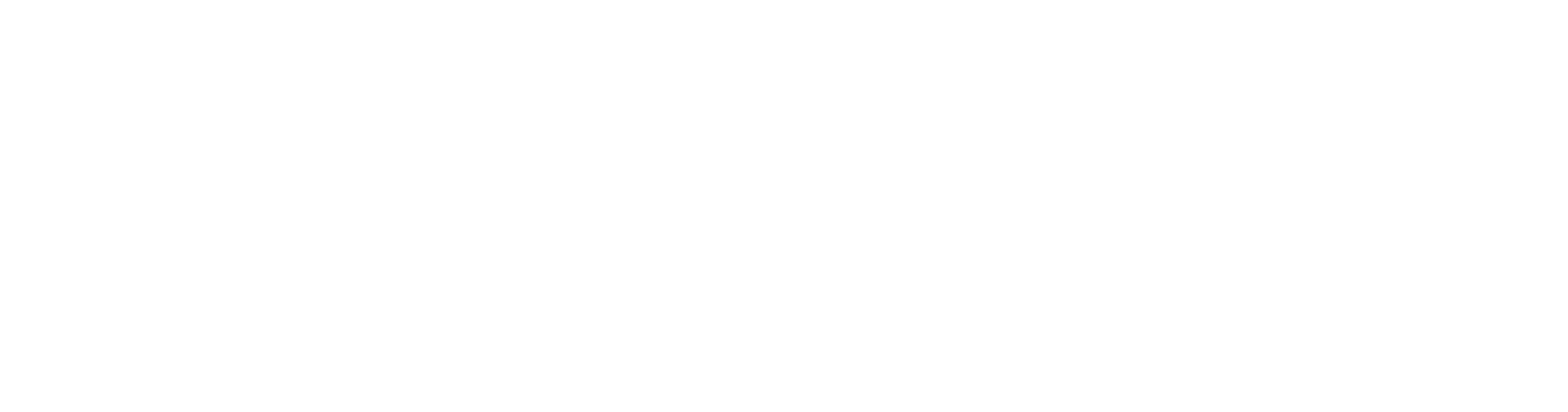 Union Travel